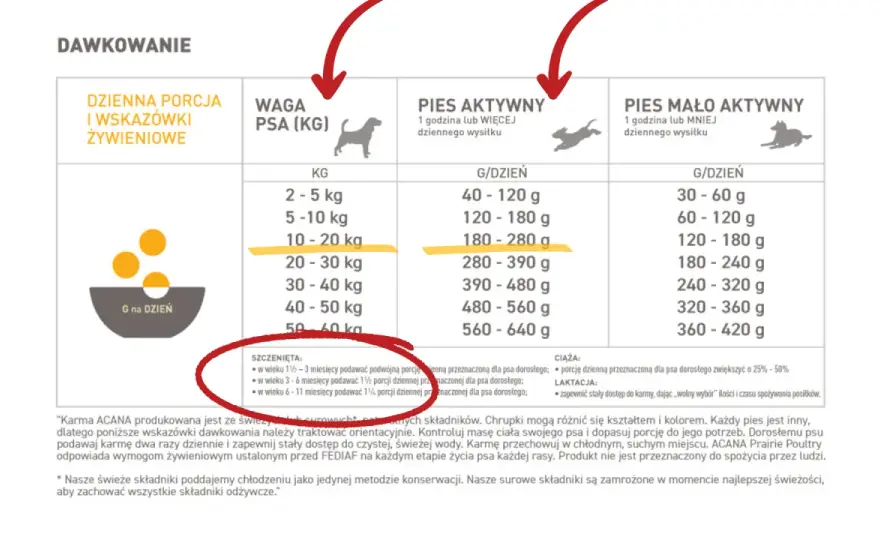 Ile karmy dla szczeniaka? Dawkowanie, częstotliwość, błędy i porady