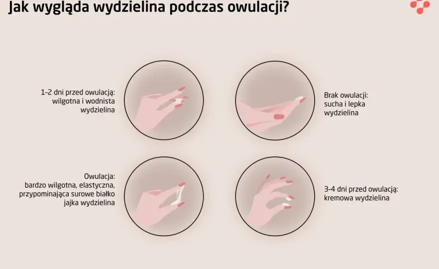Ból brzucha jak na okres i biały śluz: Ciąża, owulacja czy infekcja?