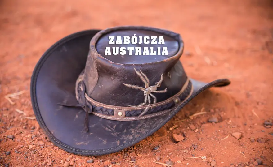 Czy w Australii jest bezpiecznie? Odkryj zagrożenia i bezpieczeństwo