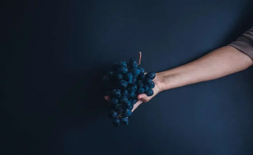 Madonna dell'Uva - Cosa nasconde il grappolo?