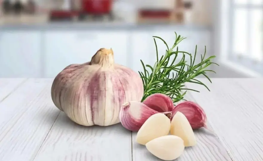 Knoblauch richtig lagern - Haltbarkeit und Botulismus im Blick