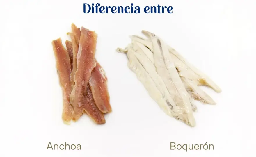 Anchoas o boquerones? La diferencia real en sabor y uso