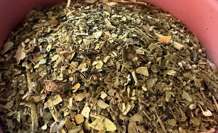 Czy yerba mate odwadnia? Prawda o nawodnieniu – sprawdź!