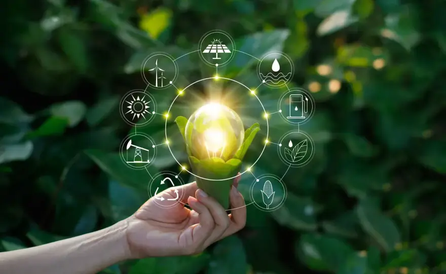 Odnawialne źródła energii - Polska ma 50% OZE! Co to znaczy dla Ciebie?