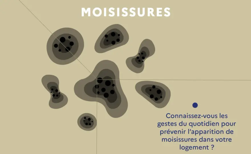 Humidité dans le logement - repérer la cause et agir vite