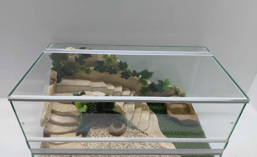 Terrarium dla żółwia greckiego - Jak uniknąć błędów?