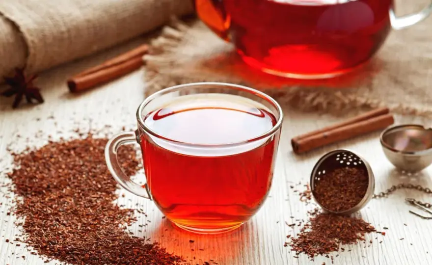 Rooibos zielony vs czerwony - który wybrać? Porównanie