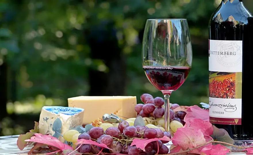 Quel vin rouge avec le fromage ? Les accords qui marchent vraiment