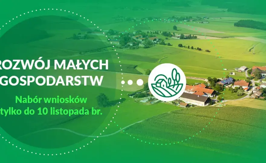 Rozwój małych gospodarstw - Jak wybrać najlepsze wsparcie?