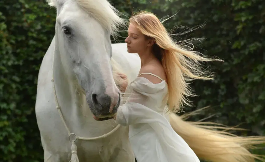 Soñar con caballos - ¿Qué significa realmente? Guía completa
