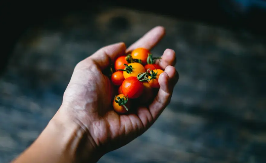 Ortoreksja - Kiedy zdrowa dieta staje się obsesją?