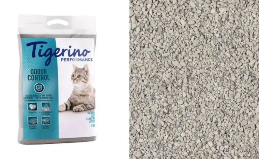 Arena para gatos - ¿Cuál es la mejor para tu casa y tu gato?
