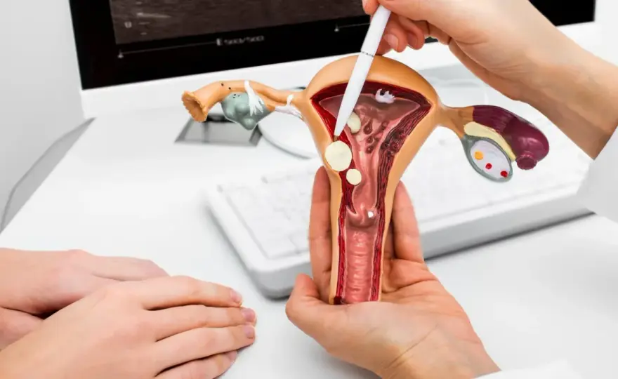 Rak endometrium - Czy krwawienie po menopauzie to sygnał?