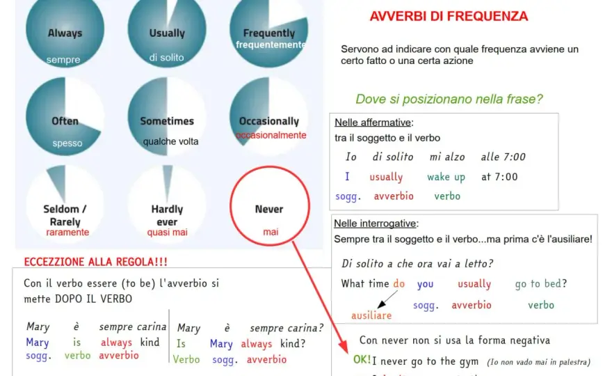 Avverbi di frequenza in inglese - come usarli senza errori