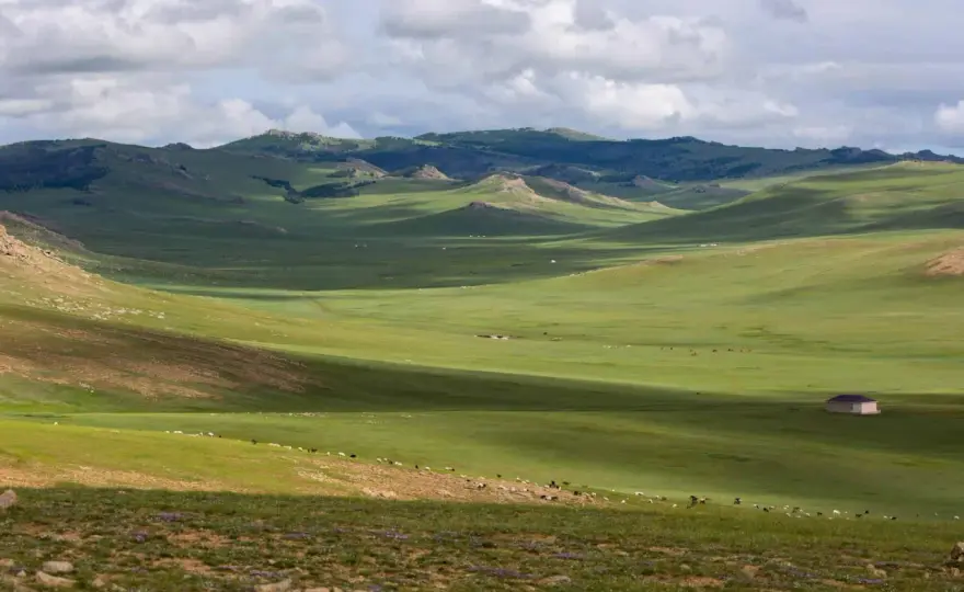 Step Mongolii - Przewodnik po regionach i krajobrazach