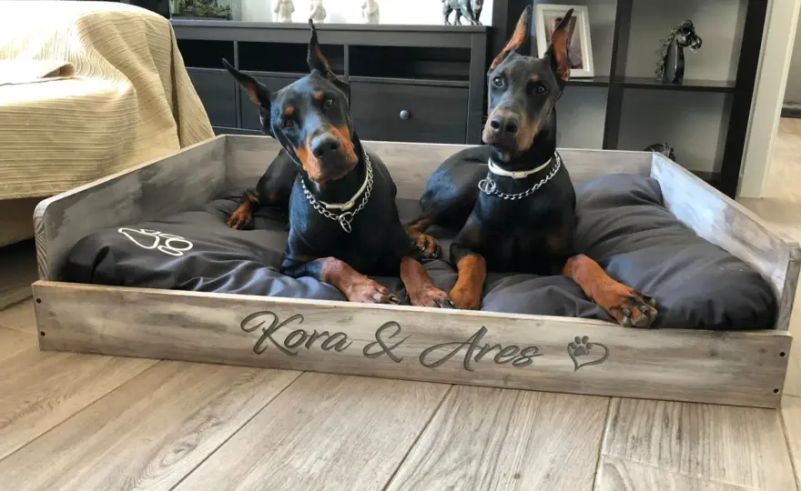 Cómo hacer una cama de madera para perros que dure años