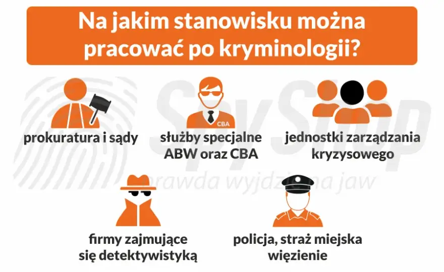 Gdzie można pracować po kryminalistyce? Sprawdź najlepsze ścieżki kariery i miejsca pracy