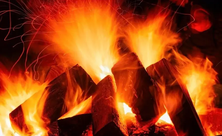 Buche als Brennholz - Warum es so stark ist & richtig heizen