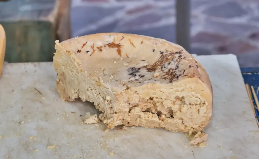 Casu marzu - ser z robakami: Smak, kontrowersje, bezpieczeństwo