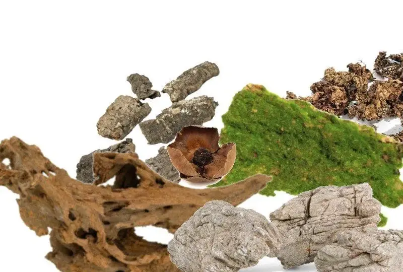 Wystrój terrarium: dekoracje i ozdoby do terrarium