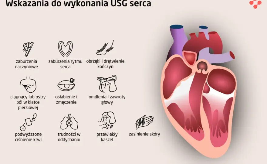 Echo serca - co wykrywa badanie i jak interpretować wyniki?