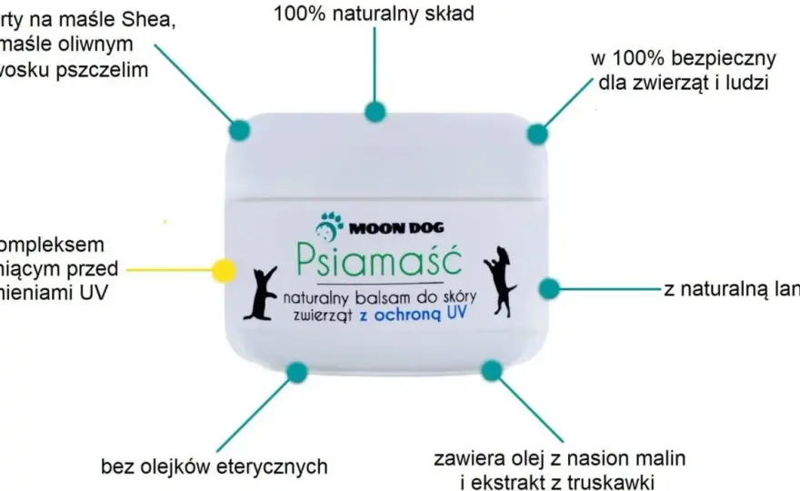 Jak prawidłowo stosować krem z filtrem dla zwierząt - poradnik ochrony pupila