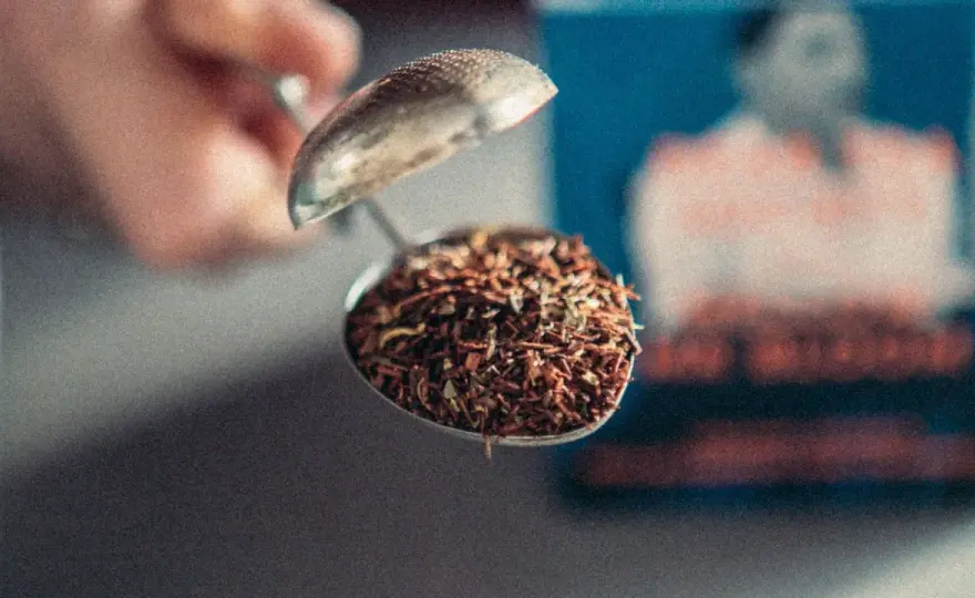 Yogi Tea Rooibos - Mer än bara te? Upptäck smaken!