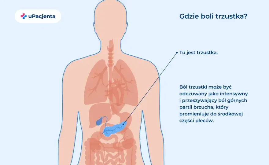 Gdzie jest trzustka? Położenie, ból i objawy - Sprawdź!
