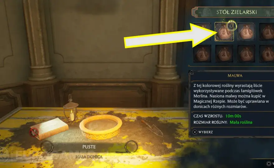 Malwa Hogwarts Legacy - Skąd brać liście i nasiona?