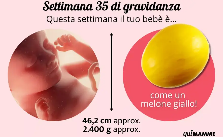 35 settimane di gravidanza - cosa sapere e quando preoccuparsi
