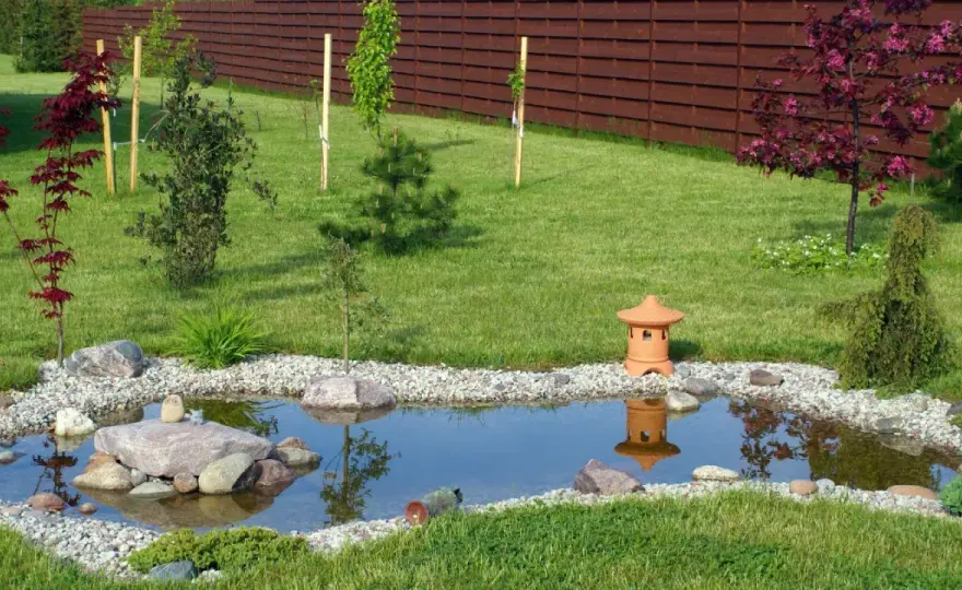 Plantes bassin de jardin - Évitez les erreurs, créez un havre
