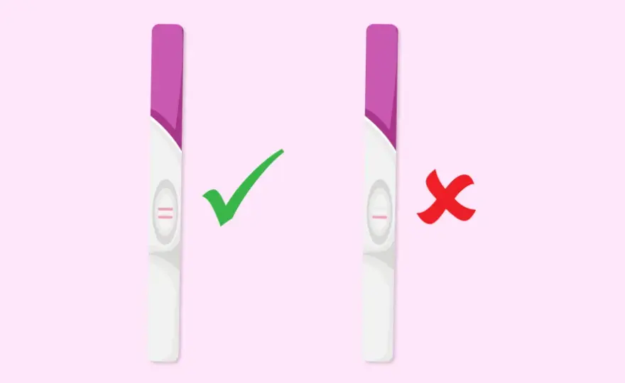 Test de grossesse - quand le faire et lire le résultat