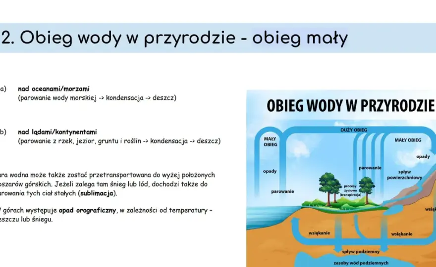Wody oceaniczne - czym są, jak działają i dlaczego mają znaczenie?