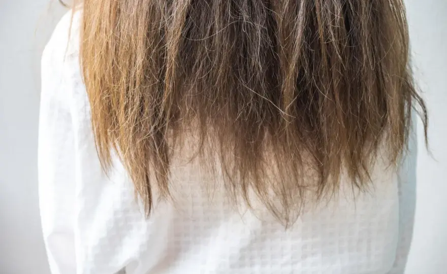 Gesunde Haare - So erkennst du sie & pflegst sie richtig