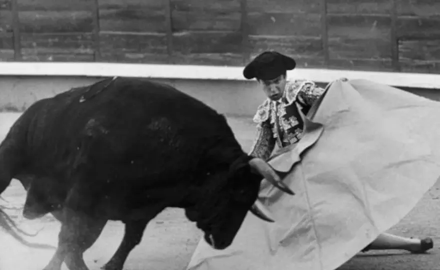 Burlero - El toro que mató a Yiyo y su historia real