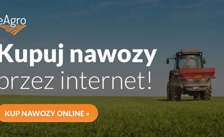 Jakie nawozy pod zboża zapewnią najwyższe plony i zdrowe rośliny