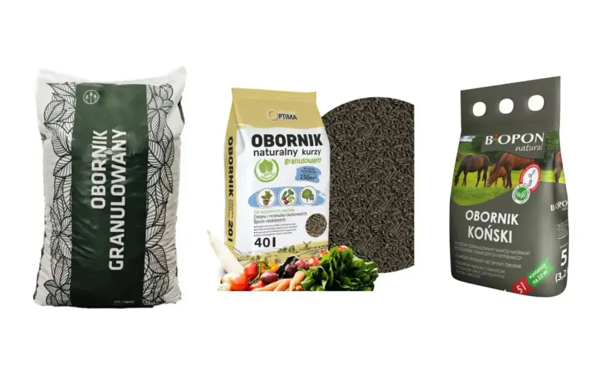 Jaki nawóz pod ziemniaki wybrać? Obornik, potas i pułapki