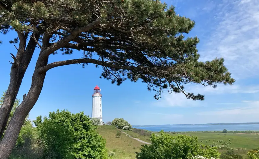 Hiddensee Orte - Welcher passt zu dir? Finde es heraus!
