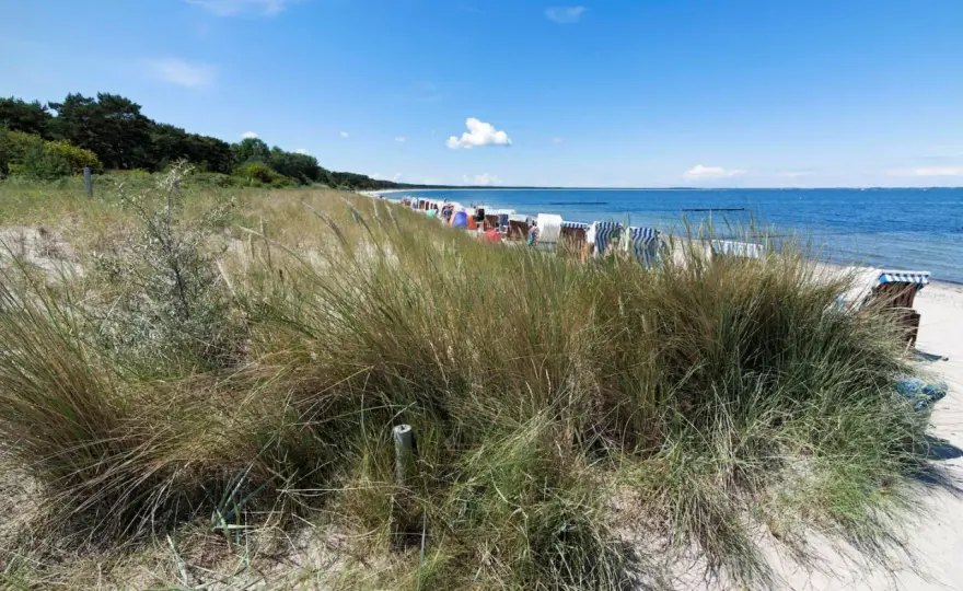 Ostsee-Strände zum Baden - so findest du die beste Badestelle