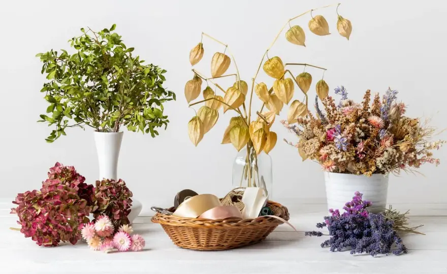 Cultiver des fleurs à sécher - Le guide complet pour des bouquets durables