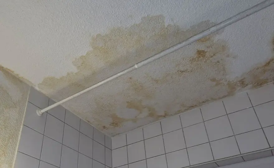 Feuchte Wand sanieren - Ursache finden, richtig handeln