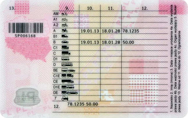 Ile naprawdę zajmuje zrobienie prawa jazdy? Sprawdź, jak uniknąć opóźnień