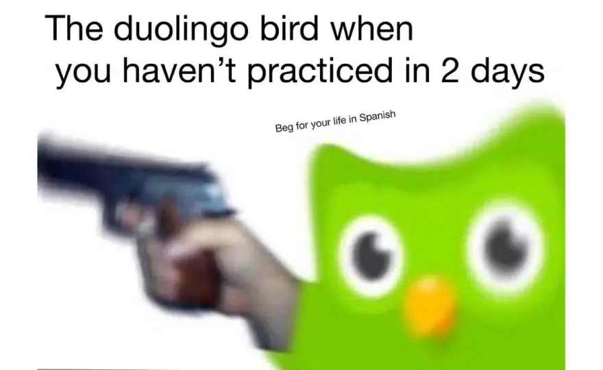 Najśmieszniejsze memy z Duolingo, które rozbawią Cię do łez!