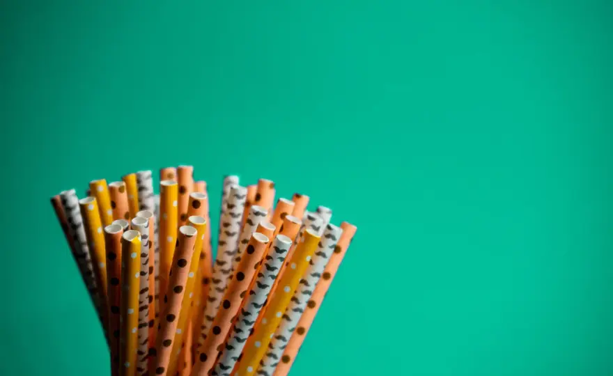 Słomki plastikowe: Dlaczego zniknęły? Przegląd eko-alternatyw