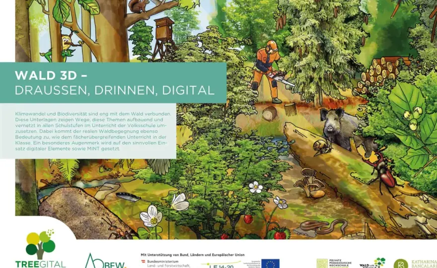 Wald im Sachunterricht: Nachhaltiges Lernen für Grundschüler