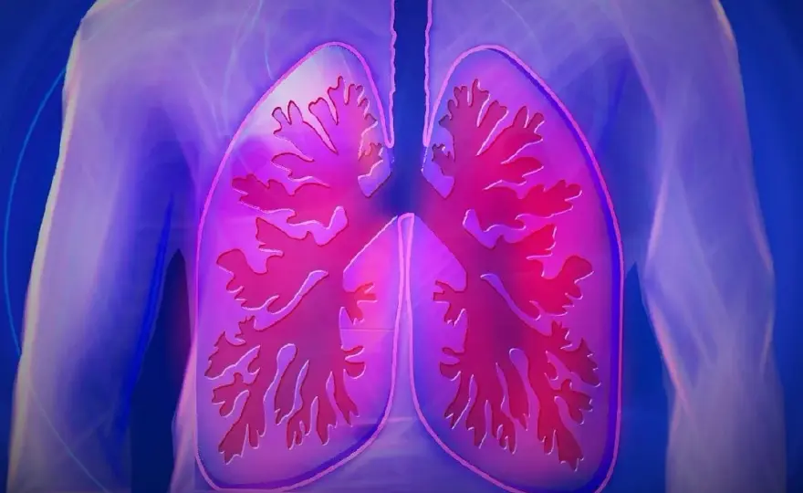 Fibrosis quística: quién la descubrió y el impacto de su hallazgo