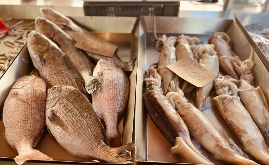Gdzie zjeść w Marsaxlokk? Odkryj najlepsze restauracje z owocami morza