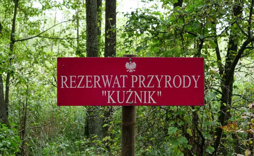 Rezerwat Kuźnik: Odkryj perłę Wielkopolski przewodnik po Gwdzie