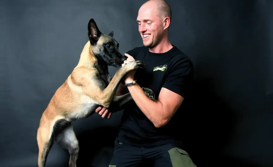 Hundetraining mit Plan - so klappt Alltagstraining wirklich