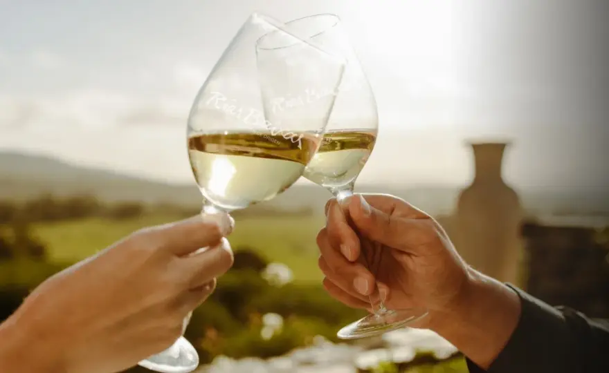 Vinos blancos gallegos - Guía para elegir y maridar